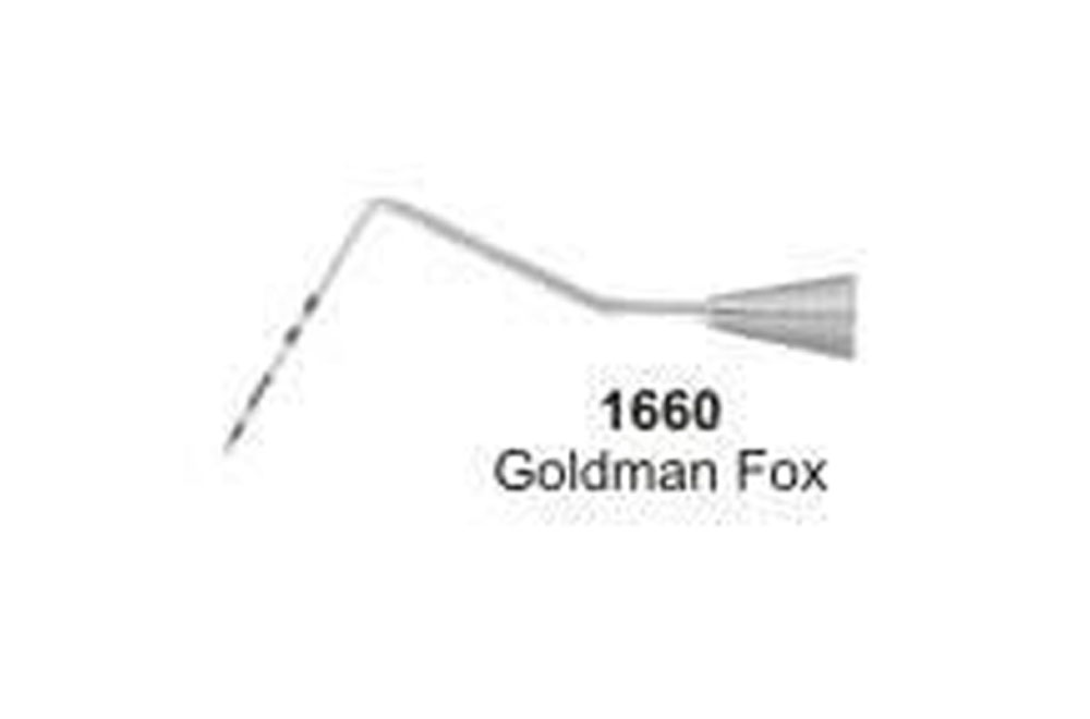 Goldman Fox 